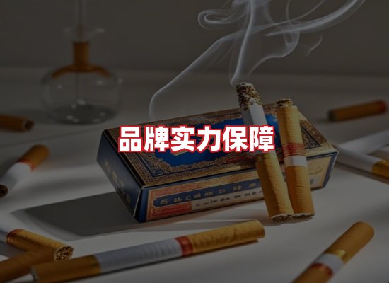 专业团队